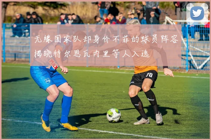 无缘国家队却身价不菲的球员阵容揭晓特尔恩瓦内里等人入选