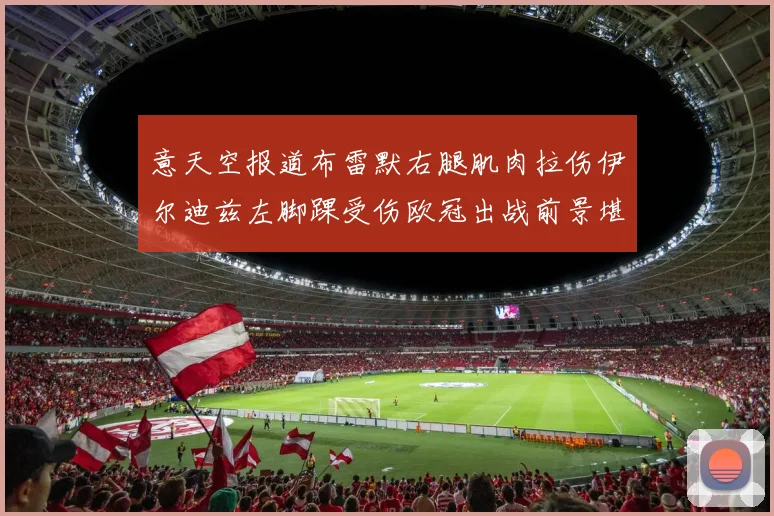意天空报道布雷默右腿肌肉拉伤伊尔迪兹左脚踝受伤欧冠出战前景堪忧