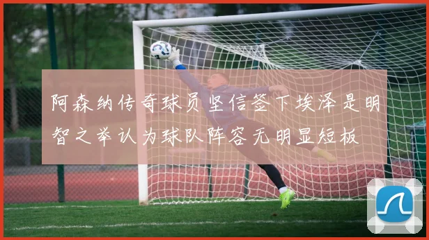 阿森纳传奇球员坚信签下埃泽是明智之举认为球队阵容无明显短板